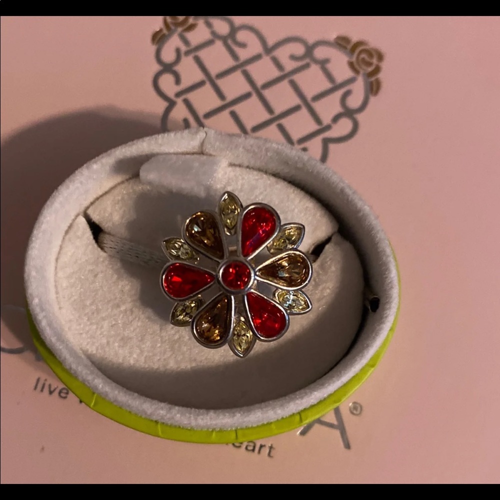 RARE Chamilia Swarovski Collab Oversized Clip Charm